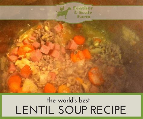 The Worlds Best Lentil Soup Recipe — Lone Feather Farm