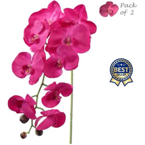 Larksilk 34 Artificial Fuchsia Phalaenopsis Orchid Stems 2 Pack Amz0700fs 1bg The Home Depot