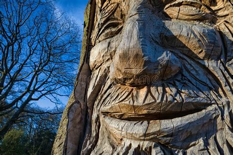Carved Wooden Face On A Tree In Singleton Park Swansea Winter 2022