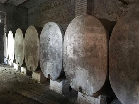 We did not find results for: Botti Vino Cemento usato in Italia | vedi tutte i 30 prezzi!