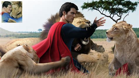 Superman Vs Lions By Loganchico On Deviantart