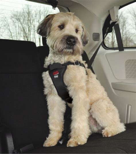 Easy Rider Black Adjustable Dog Car Harness Wilco Farm Stores
