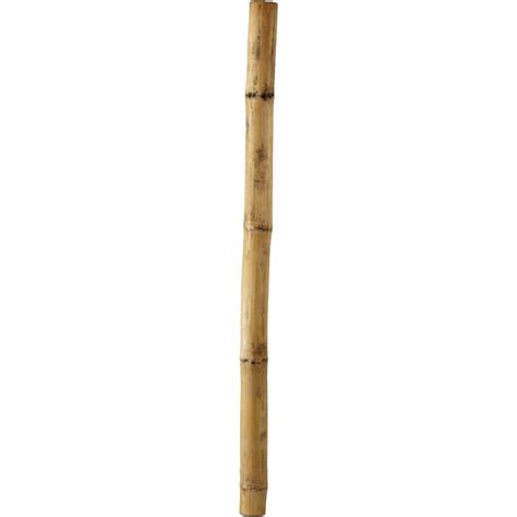 Bamboo Stick Png Image Png All Png All