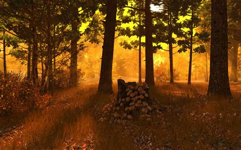 Screenshots For Autumn Forest 3d Screensaver 4