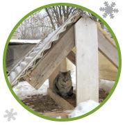 A feral cat feeding stations that keeps food dry. Colony Cats (& dogs) - Cold Weather Tips