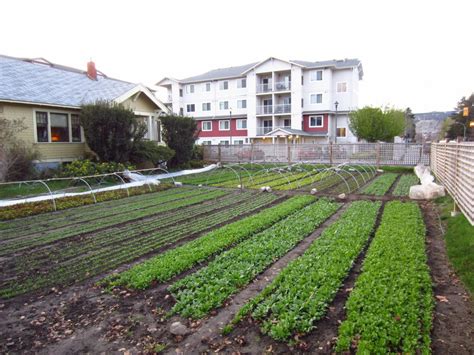 Sq ft or sq ft, plural form: $80k Year Farming on 1/3 Acre: "Square Foot Gardening ...
