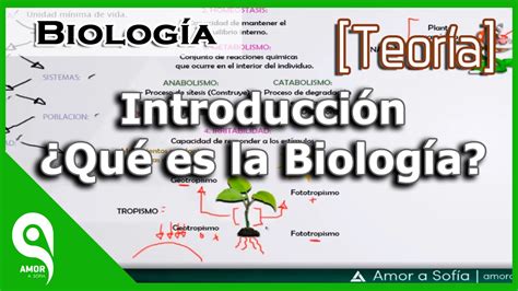 Biología Introducción ¿qué Es La Biología Youtube