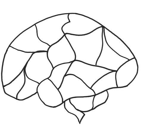 Blank Brain Diagram Clipart Best