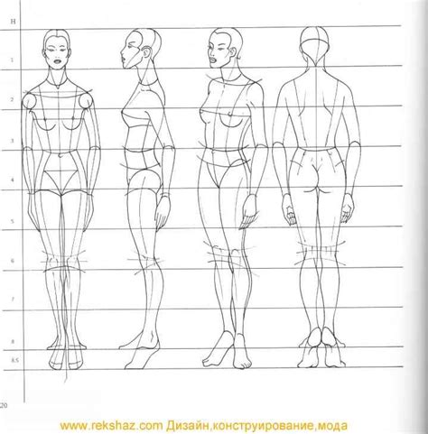 Human Proportions Drawing Pdf Illustriousness Ejournal Photogallery