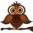 Cute Owl Cartoon  ClipArt Best