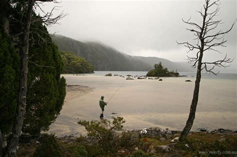 Wild Tasmanian Fly Fishing