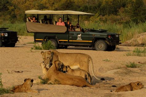 Kruger National Park South Africa Tour Destinations Ati Holidays