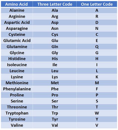 31 Amino Acids Biology Libretexts