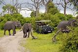 Safari Parks In Tanzania Images