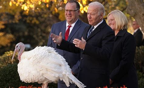 US President Joe Biden: Joe Biden's Presidential Pardon Saves 2 Turkeys