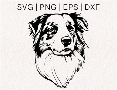 Australian Shepherd Svg Aussie Svg Dog Face Vector Etsy