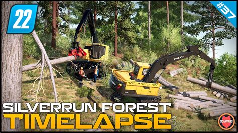 Logging On A Steep Hill In Tigercat Survival Logging Series Fs