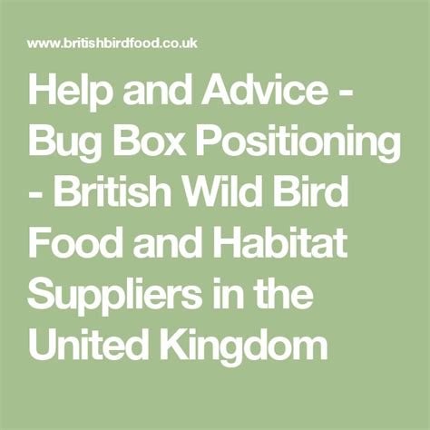 Help And Advice Bug Box Positioning British Wild Bird Food And