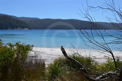 Camping Fortescue Bay Port Arthur Tasman Peninsula