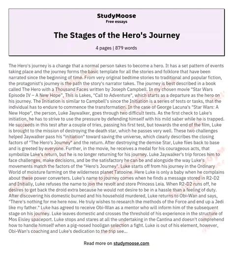 The Stages Of The Heros Journey Free Essay Example