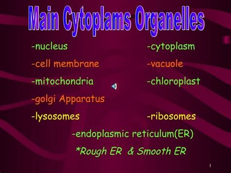 Cell Organelle Power Point Notes Ppt