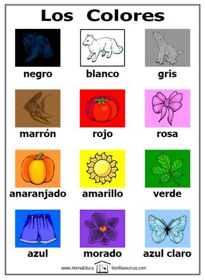 Free Los Colores Activity Set Printable Spanish Spanish Colors