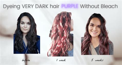 Purple Dye On Dark Hair No Bleach Roseanna Peyton