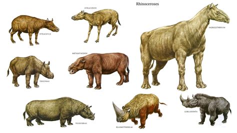Pin By Jeffrey Dorchen On Prehistoric Animals Prehistoric Animals