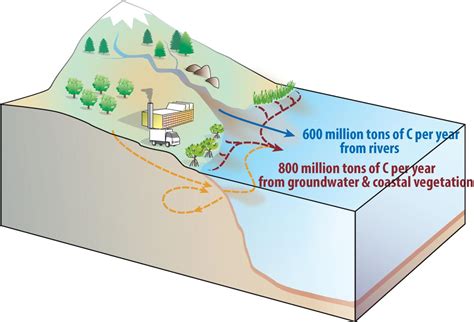 Twice As Much Carbon Flowing From Land To Oce Eurekalert