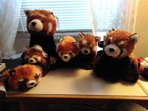 Please Follow Iloveredpandas Im Collecting Plushies Since Red Pandas