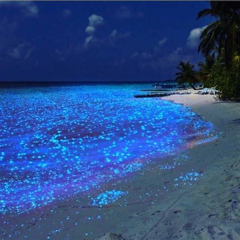The Sea Of Stars Vaadhoo Island Maldives Broseller