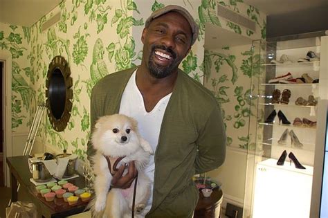 Idris Elba With A Puppy Idris Elba With A Puppy Youre Welcome I