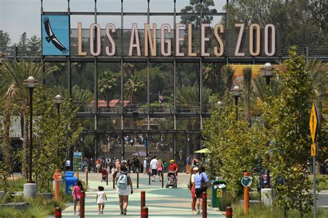 Admission Prices Increase At Los Angeles Zoo Updated 893 Kpcc
