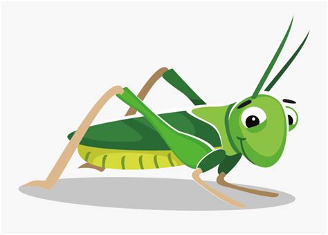 Grasshopper Clipart At Getdrawings Clipart Cricket Insect Free