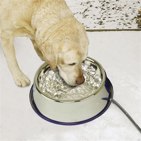 Kandh Thermal Bowl™ Heated Dog Water Bowl — Kandh Pet Products