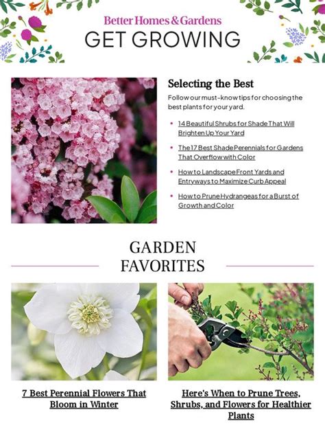 Better Homes And Gardens 14 Beautiful Shrubs For Shade That Will