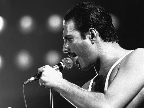 Try freddiemeter to find out! Freddie Mercury: Bio, Queen, and Phenomenal Love for Cats