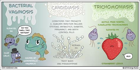 Medical Candidiasis Bacterial Vaginosis Trichomoniasis