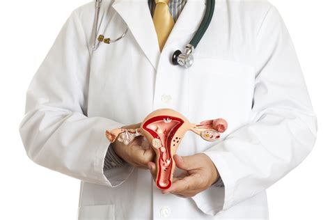 Intramural Fibroid Overview And More