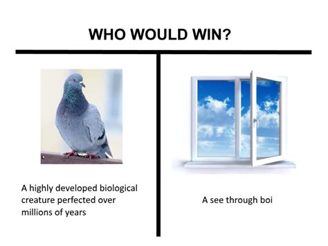 Who Would Win Rmemes