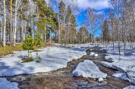 Early Spring Landscape In Forest With Melting Snow And Brook Stock