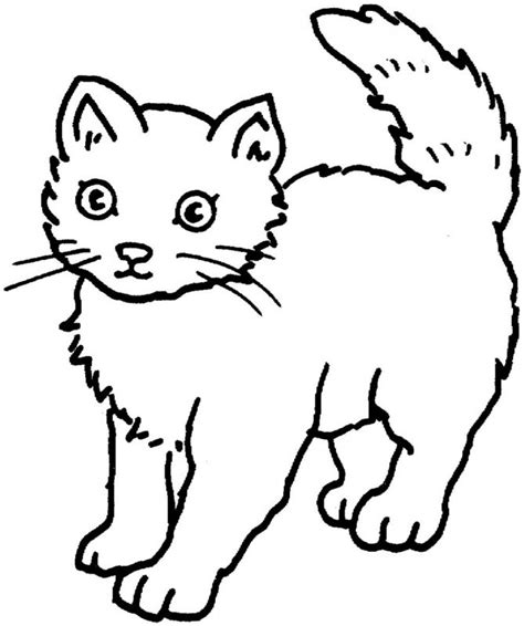 Gambar kucing untuk mewarnai 1. Gambar Kucing Untuk Mewarnai