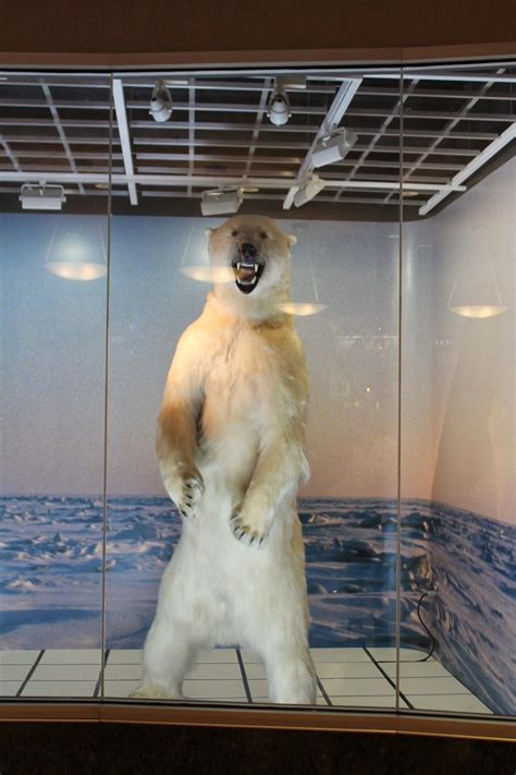 Get travel ideas from the official source for anchorage, alaska travel information. The Cunningham Family: Anchorage Trip: Part Four