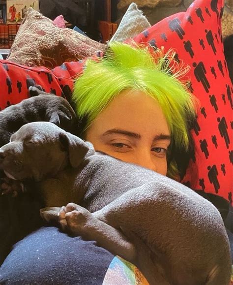 Billie Eilish And Shark Billie Eilish Billie Cantores