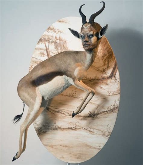 How To Taxidermy Taxidermy Art Eerie