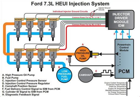 Ford 6 0 Injector Diagram