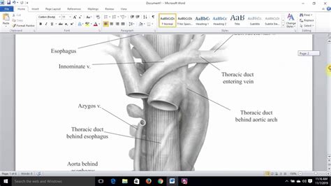Thoracic Ductcourse Relations And Tributaries Youtube