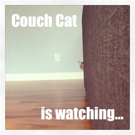 Couch Cat Is Watching Meme Guy