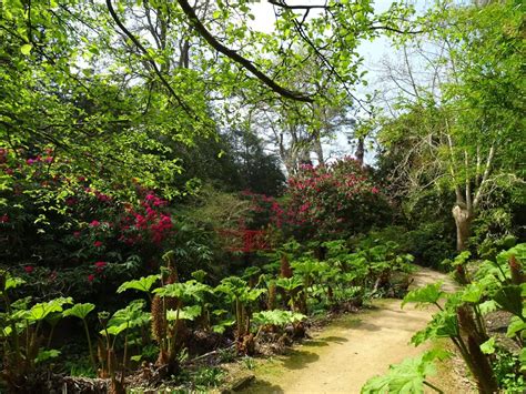 Abbotsbury Subtropical Gardens Where To Go With Kids Dorset