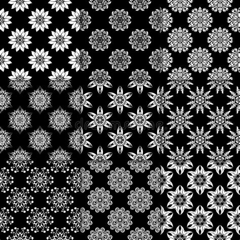 Black And White Floral Ornaments Collection Of Seamless Patterns Stock